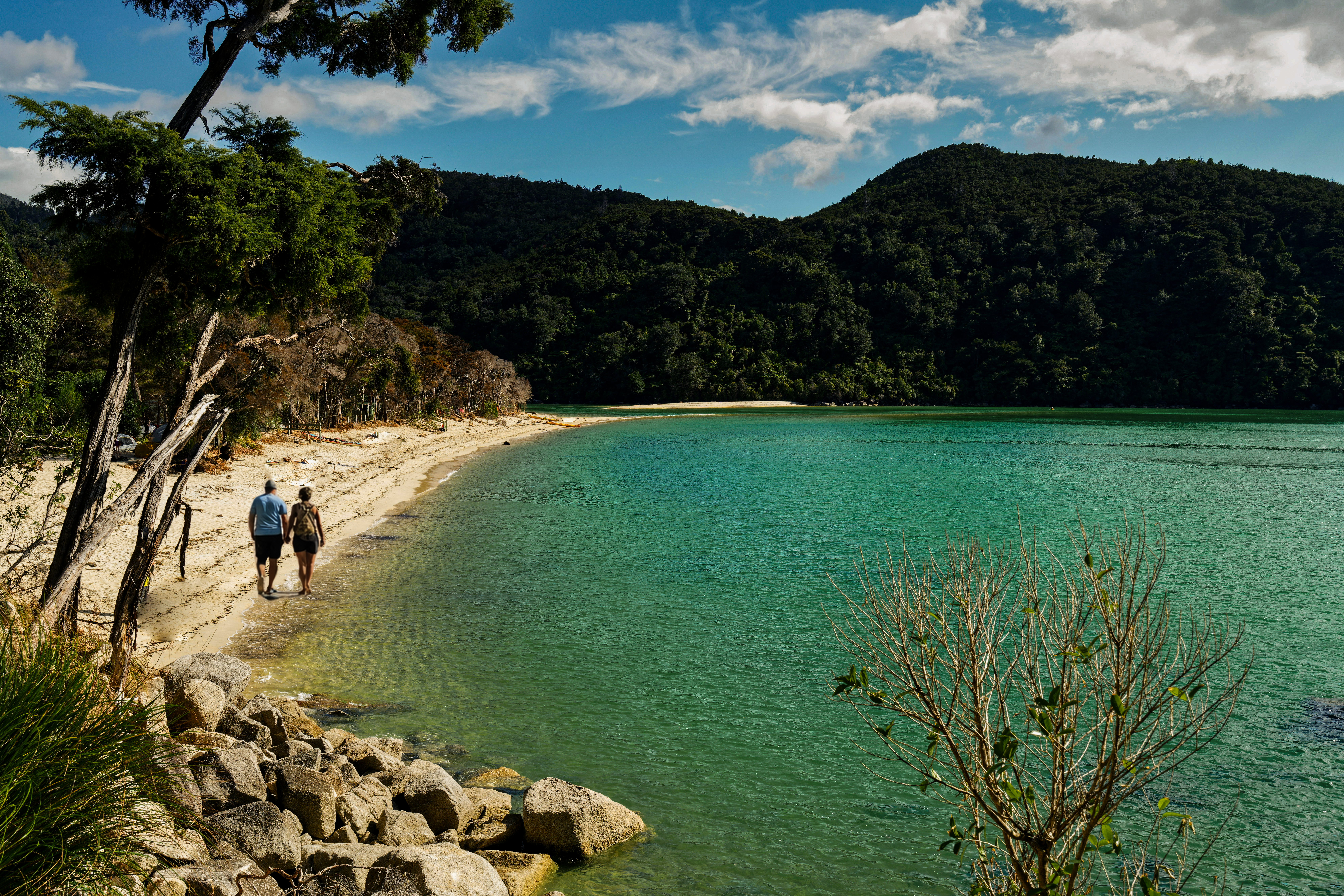 Abel Tasman coastline
