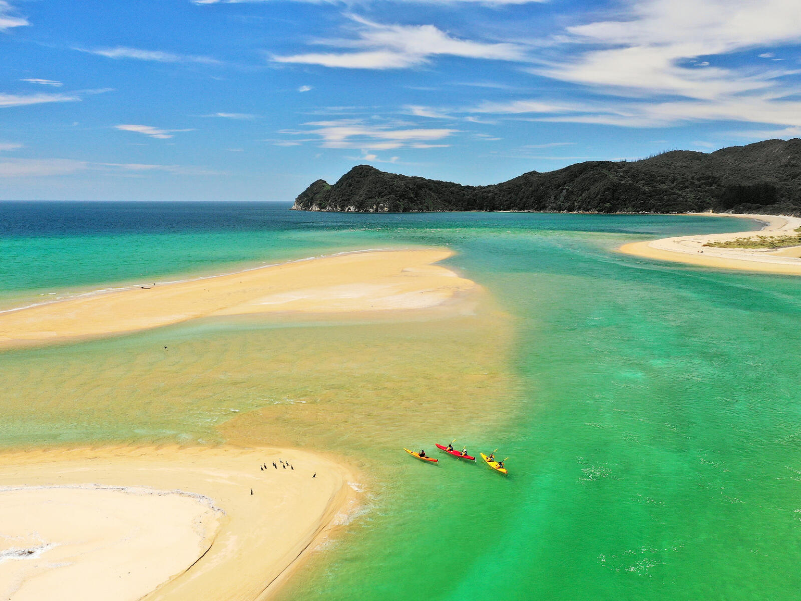 Kayakers in Abel Tasman