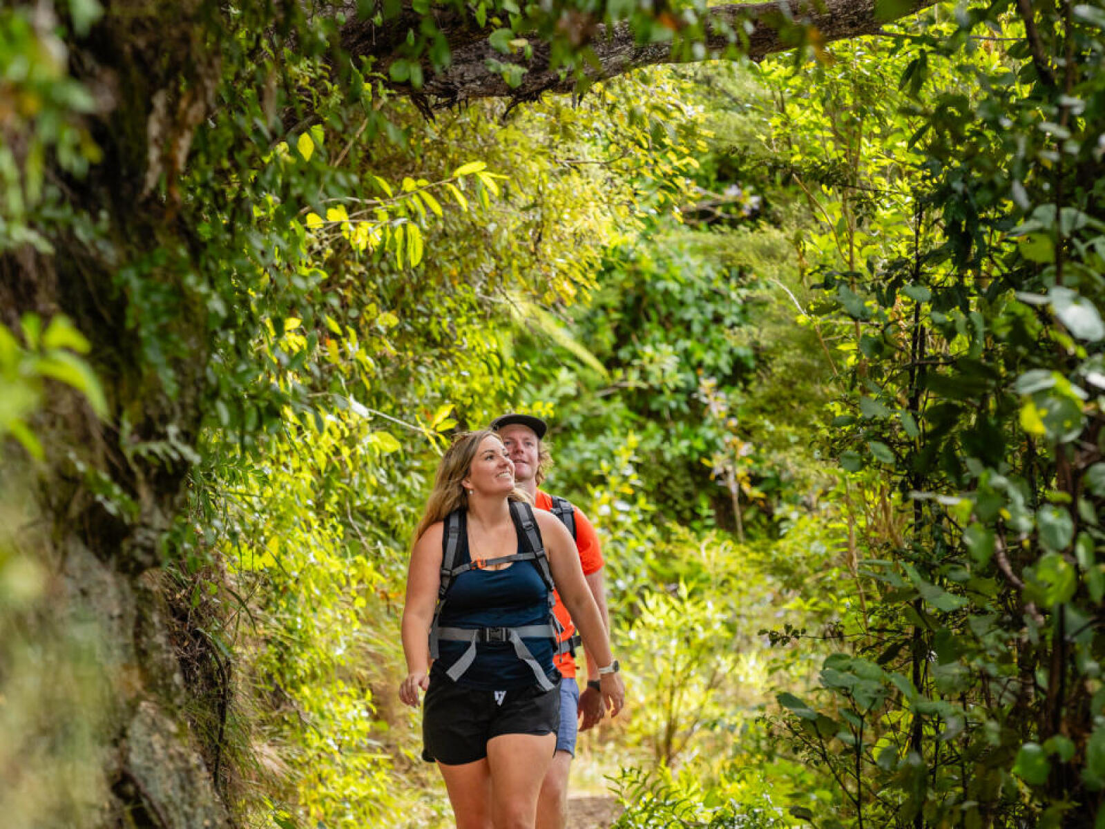 Walking the Abel Tasman Coast Track